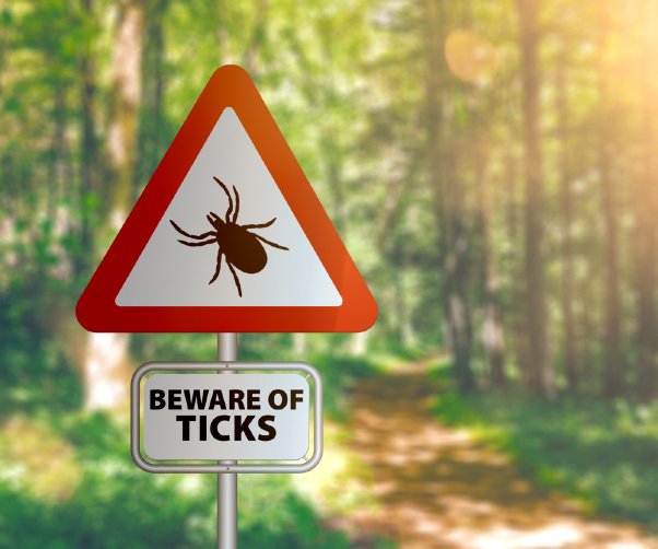 Early Signs of Lyme Disease: Recognizing the Symptoms
