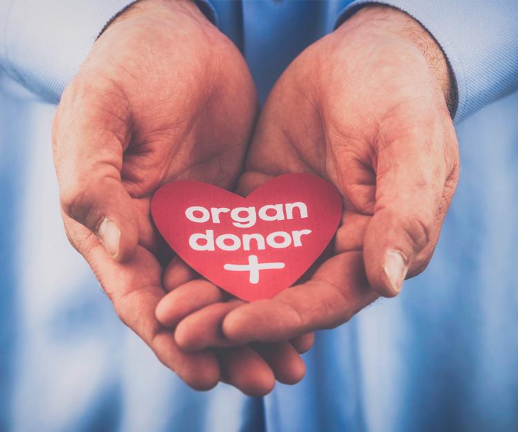 What Happens When I Register as an Organ Donor?  Myths vs. Facts