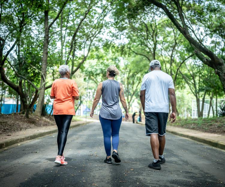 Keep Moving, Keep Strong: Joint-Friendly Fitness for Everybody