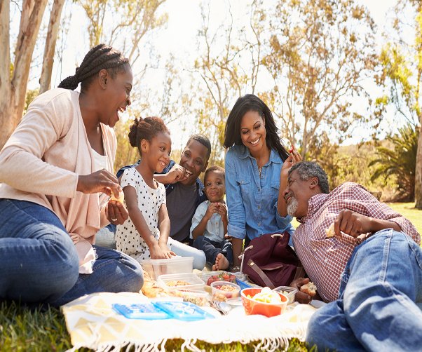 Goodbye to ANTS ruining your picnic!