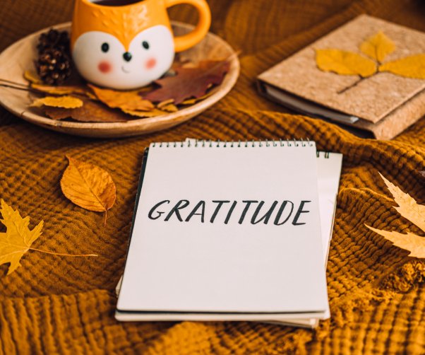 The Lens of Gratitude: Remaining Thankful Even When Facing Life’s Challenges