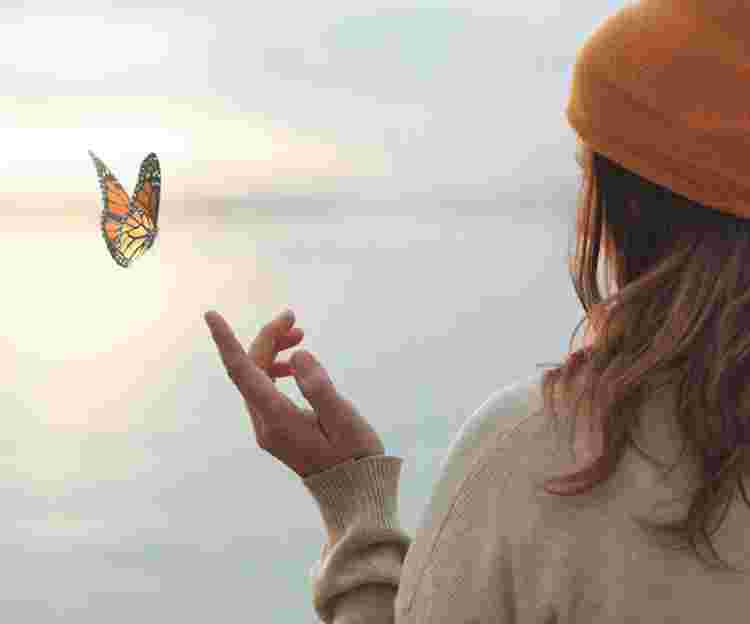 Navigating Life Transitions